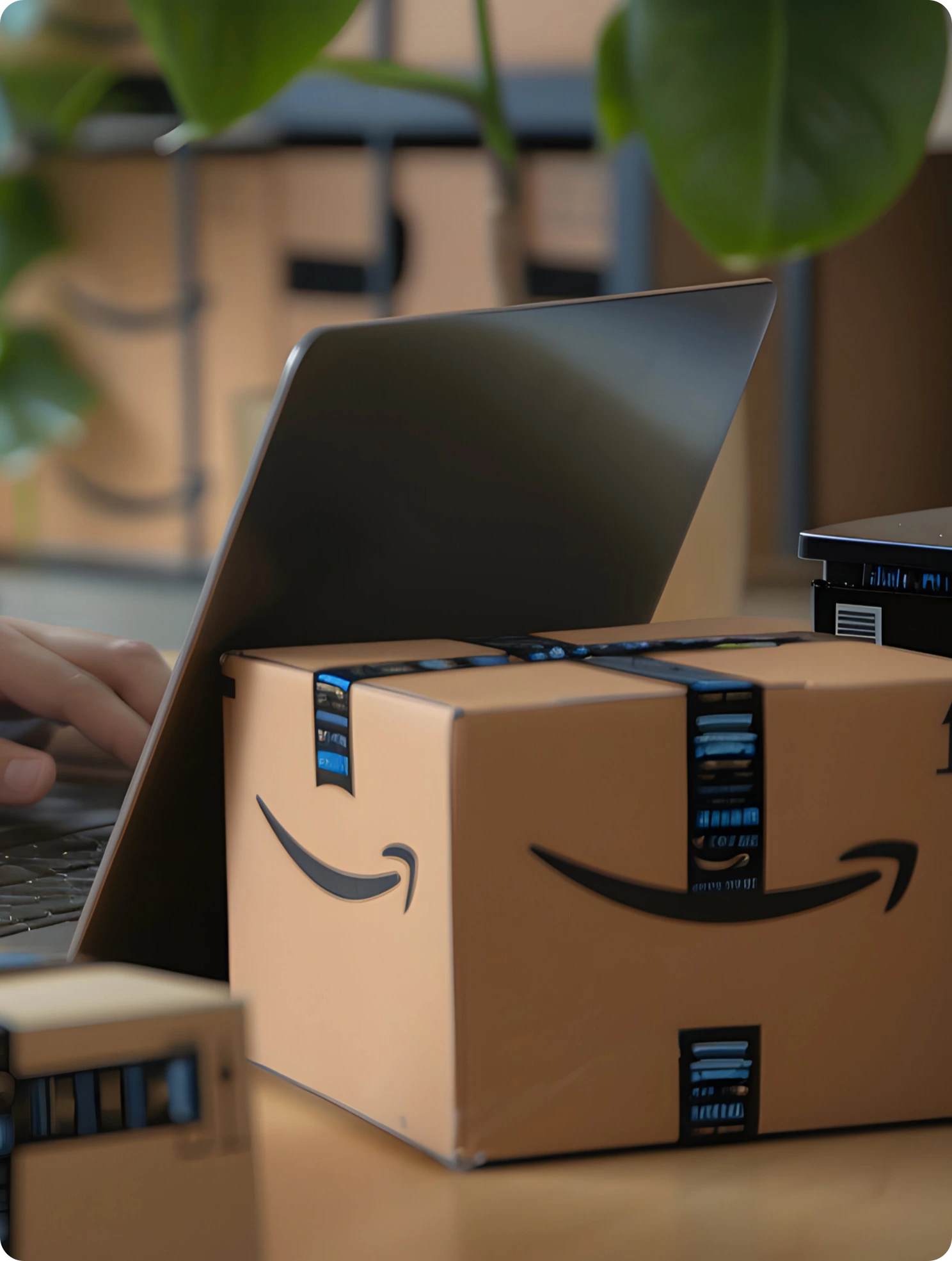 economyDelivery